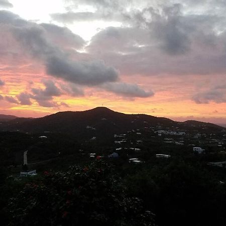 הוילה קריסטיאנסטד Caribbean Splendor With Million Dollar Views מראה חיצוני תמונה