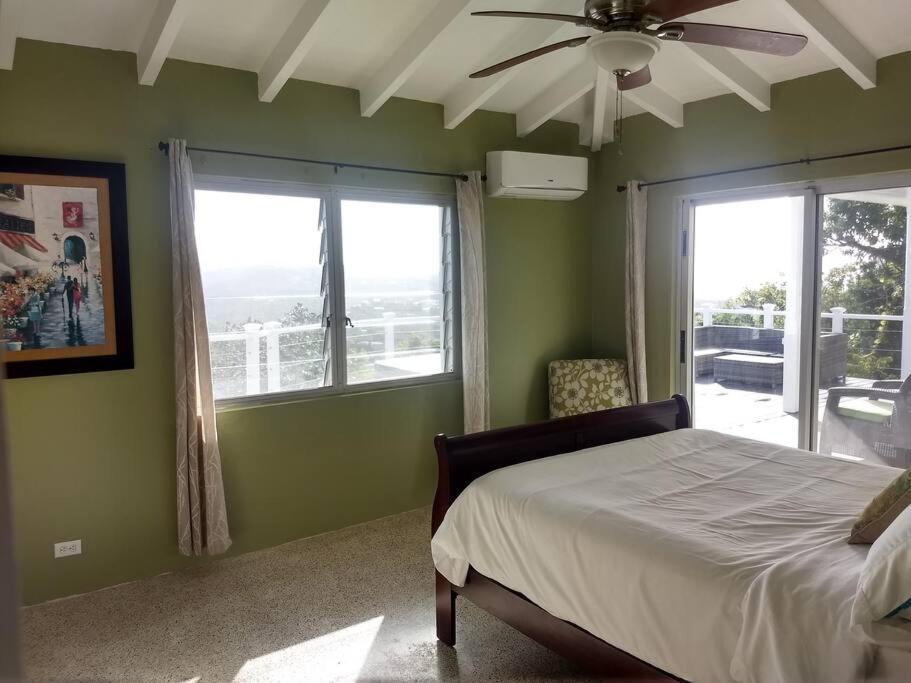 הוילה קריסטיאנסטד Caribbean Splendor With Million Dollar Views מראה חיצוני תמונה